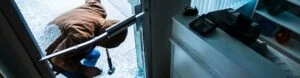 theft defences law